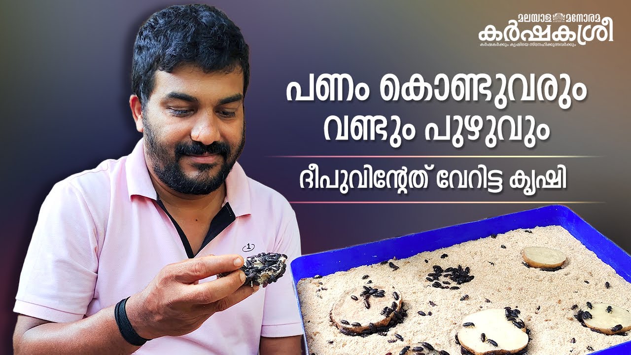 പണം കൊണ്ടുവരും വണ്ടും പുഴുവും – വേറിട്ട കൃഷിയുമായി ദീപു |​ Karshakasree | Mealworm | Pets