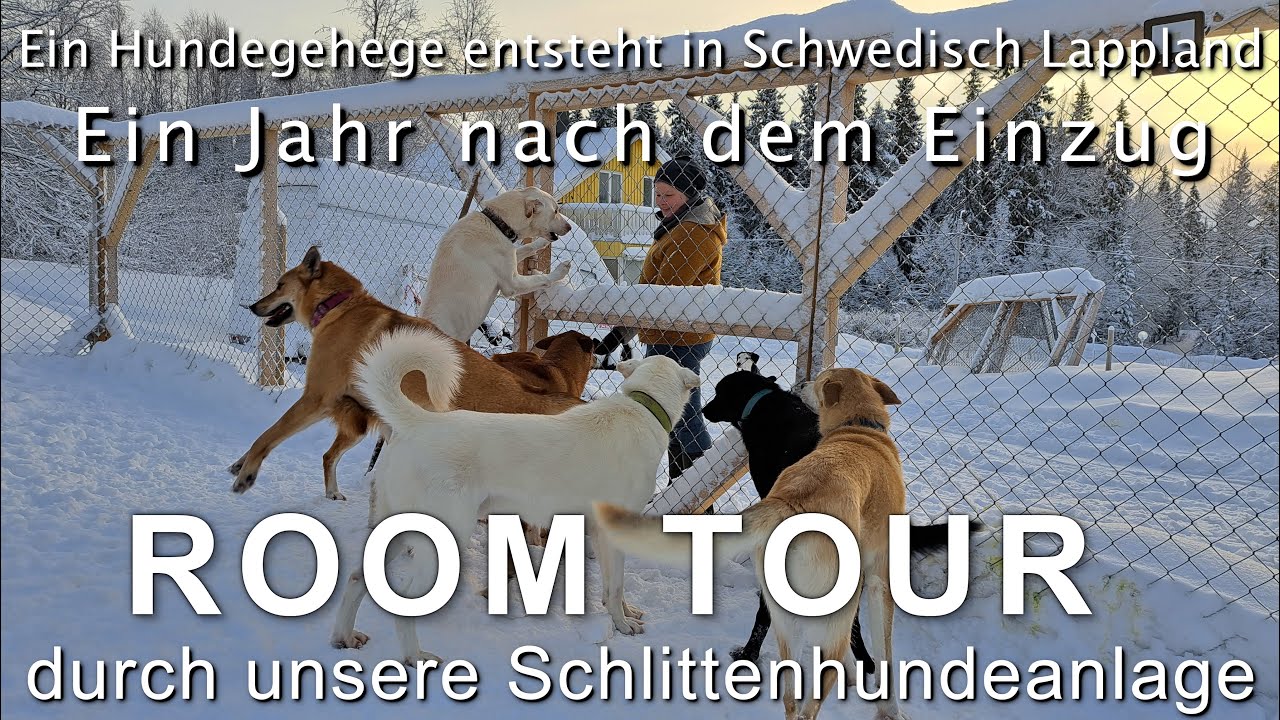 Room Tour durch unser Schlittenhundegehege in schwedisch Lappland