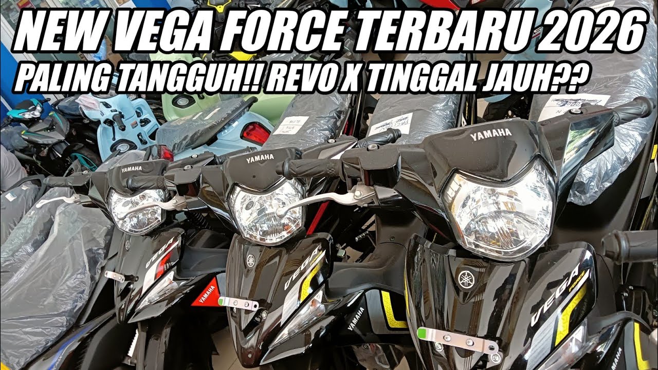 NEW VEGA FORCE TERBARU 2026! PALING TANGGUH