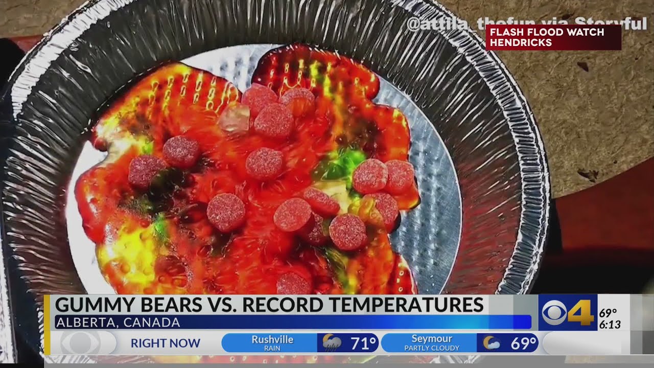 Gummy bears melt