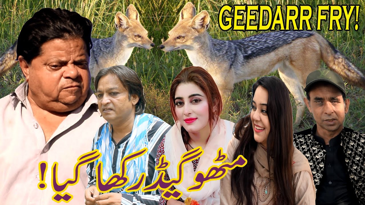 Geedarr Fry ǁ New Pothwari Drama ǁ Shehzada Ghaffar ǁ Mithu Rishwat Khor ǁ Pothwari Funny Video 2025