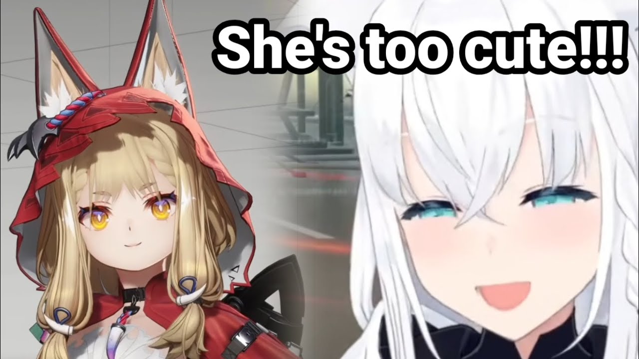 Fubuki got a new Wolf to love
