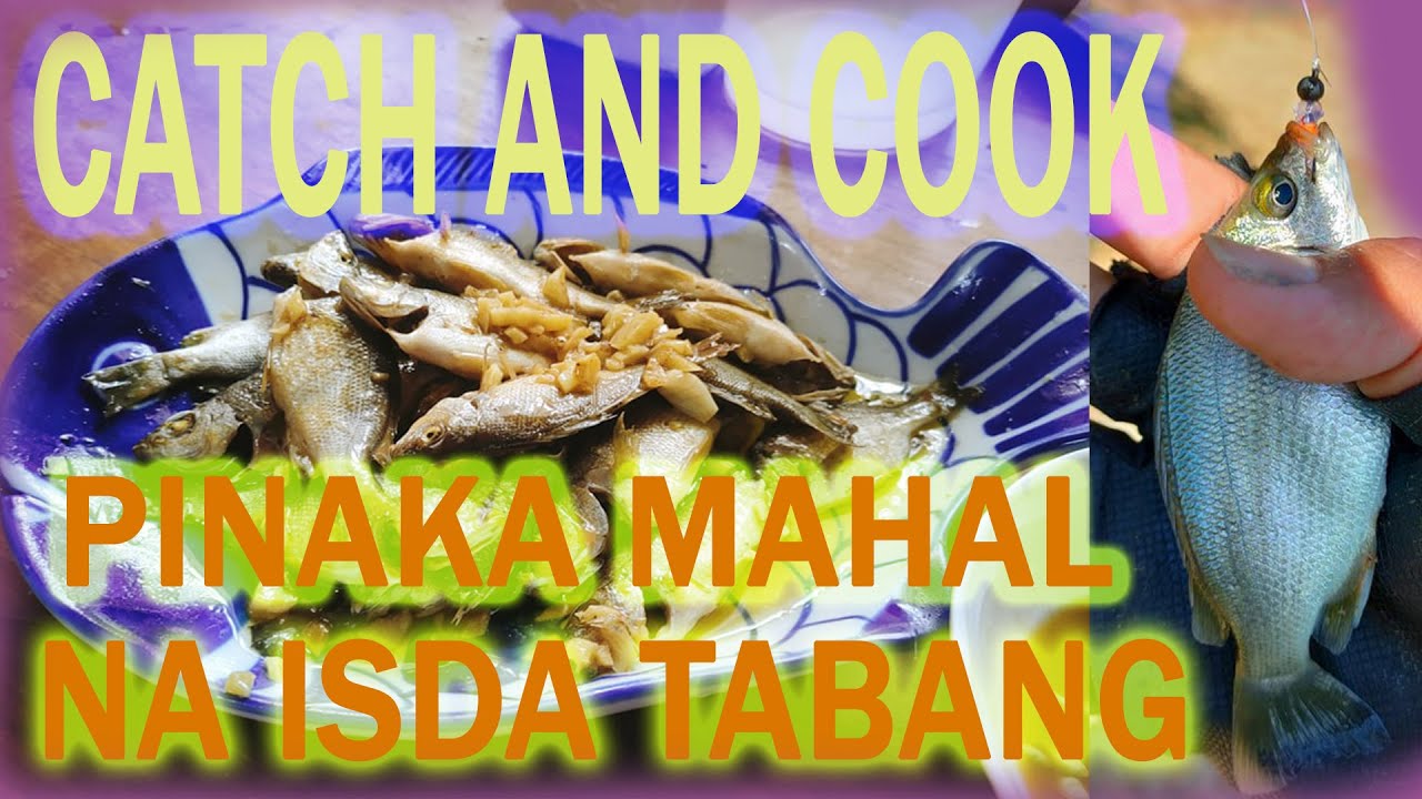 Ayungin Catch and Cook | Bakit ba mahal ang ayungin? | Tikman natin parorito isda ni Rizal!