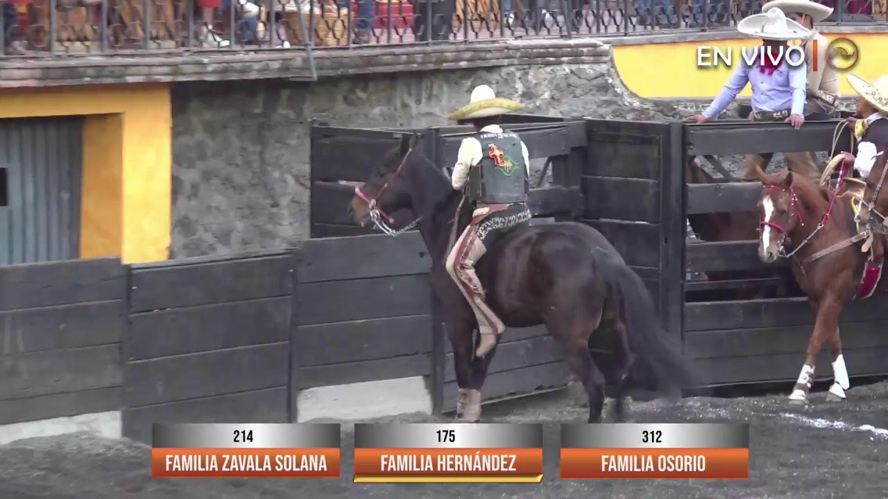 TORNEO FAMILIAS CH 2 LXIII ANIVERSARIO DE CHARROS DEL PEDREGAL