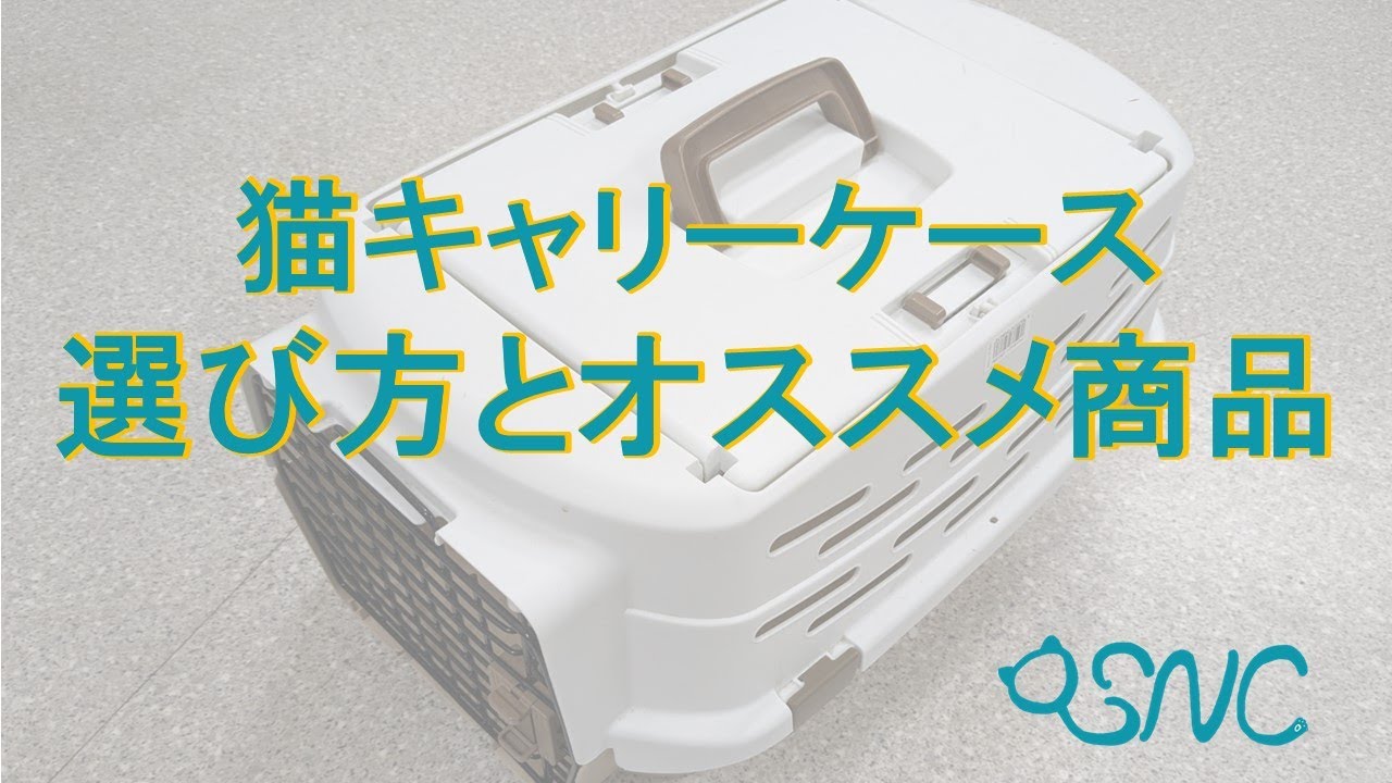 猫キャリーケースの選び方とおすすめ商品