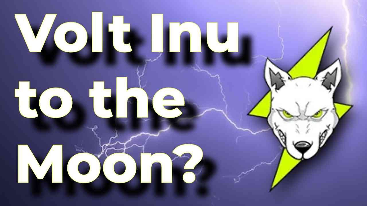 VOLT is the BOTTOM in!?? Volt Inu Daily Technical Analysis! #voltinu #crypto #priceprediction