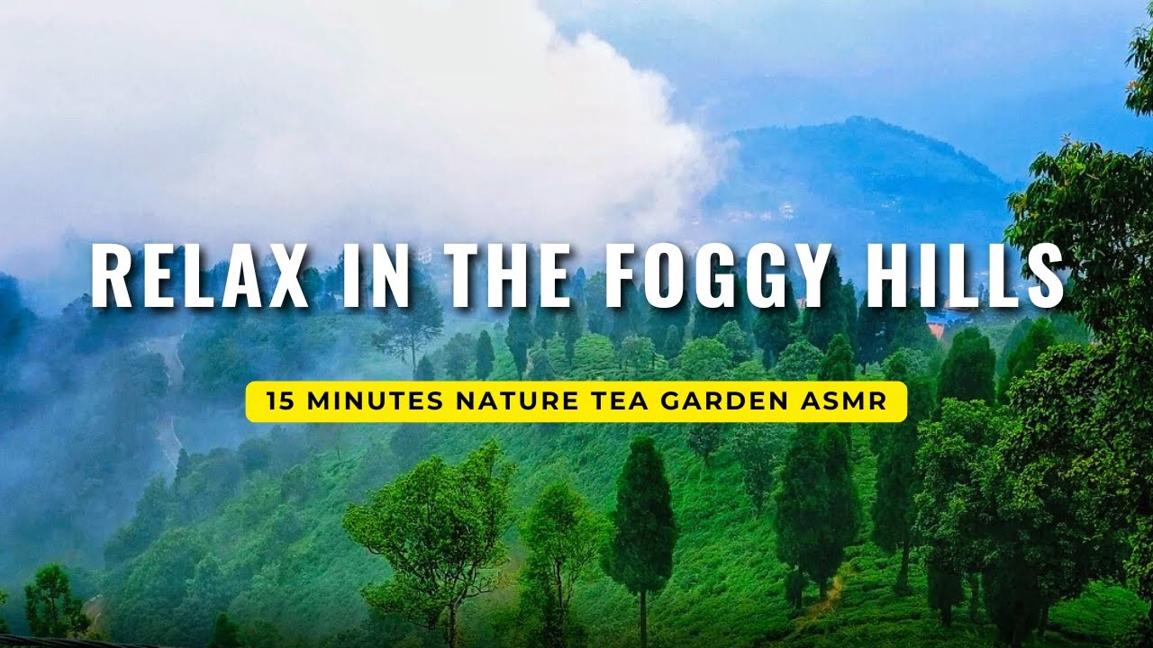 Relaxing Hillside Mist & Tea Garden &ndash; 15 Min Natural ASMR for Deep Sleep & Relaxation