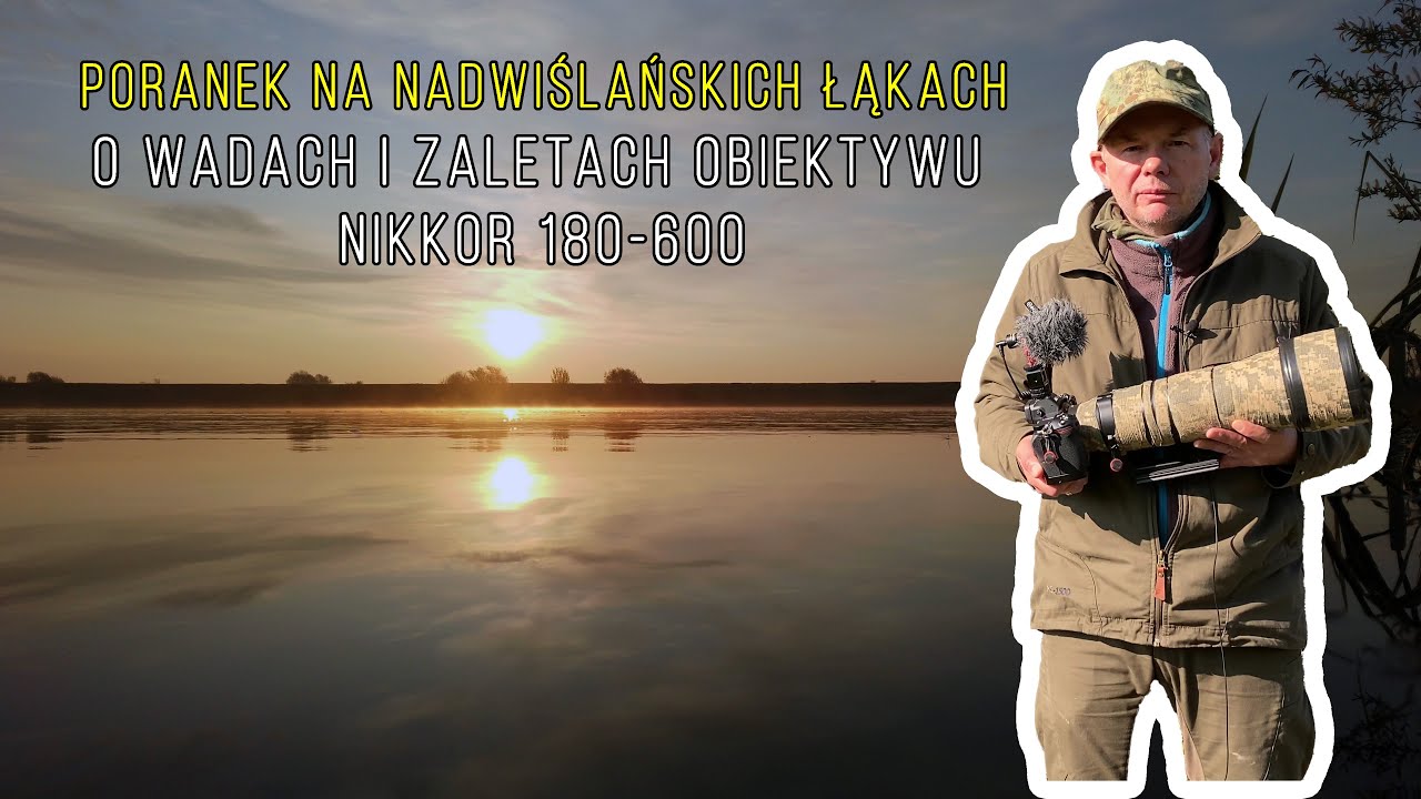 Poranek na Nadwiślańskich Łąkach: O Wadach i Zaletach Obiektywu Nikkor 180-600 | fotografuj #zemną