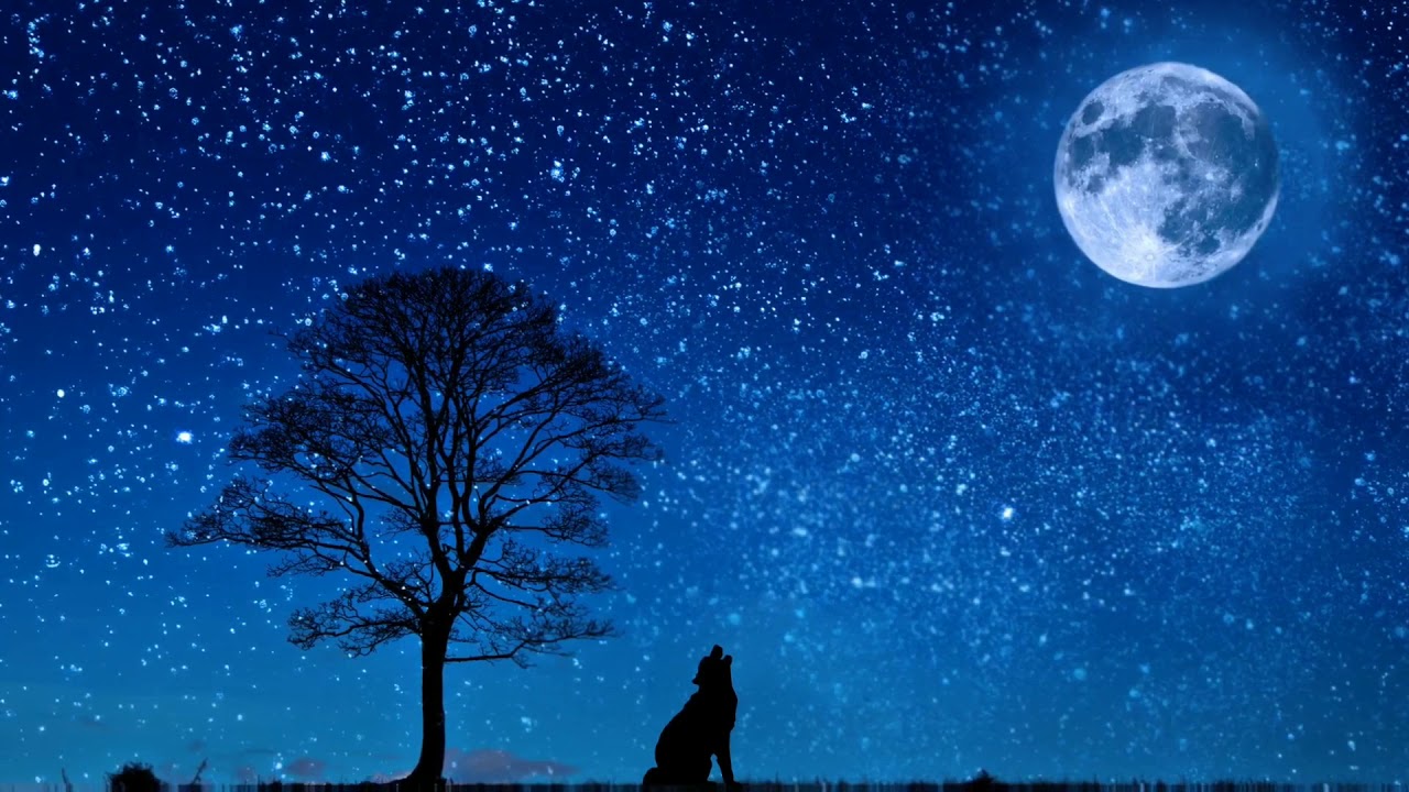 healing night relax music fantasy visual | Relax body and soul