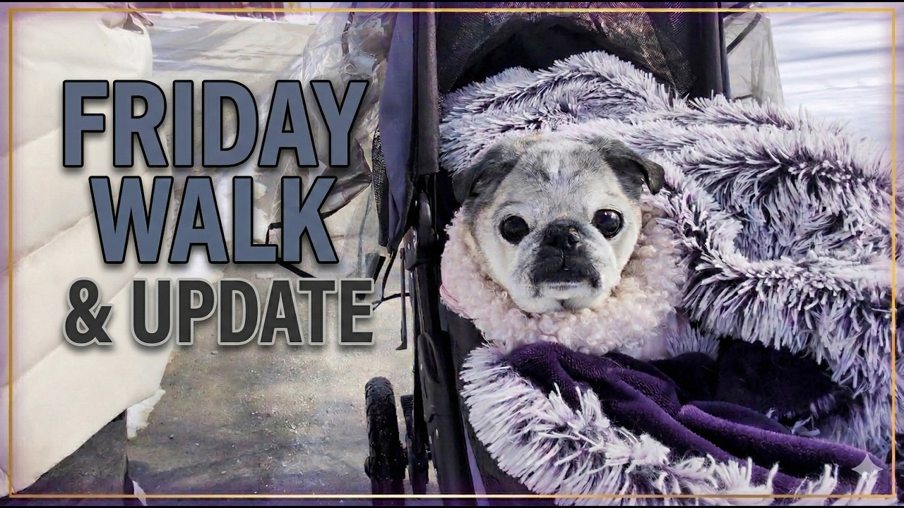 Friday Walk and Update 