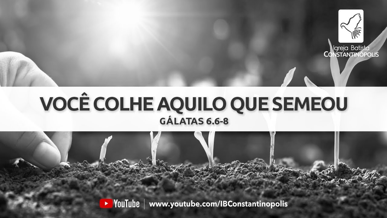 Voc&ecirc; colhe aquilo que semeou | G&aacute;latas 6.6-8