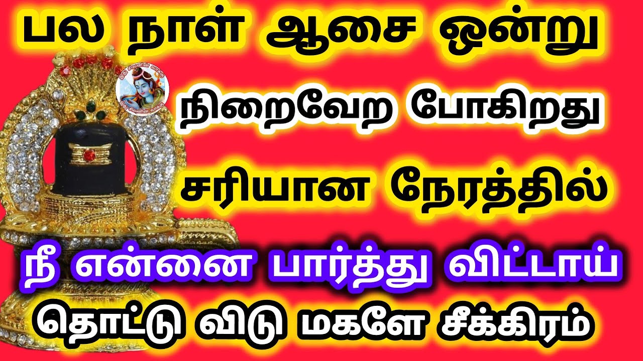 பல நாள் ஆசை ஒன்று நிறைவேற போகிறது சரியான நேரத்தில் நீ என்னை பார்த்து விட்டாய் மகளே தொடு சீக்கிரம்