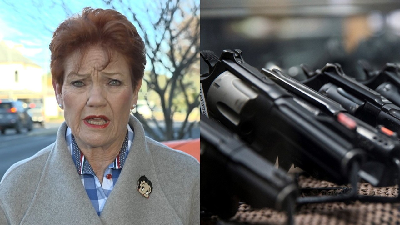 'We are crucifying legal owners&rsquo;: Hanson blasts gun buyback scheme