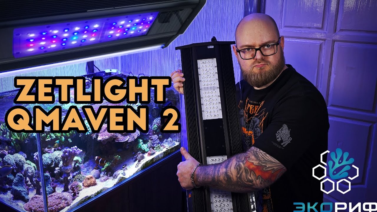 zetlight qmaven 2