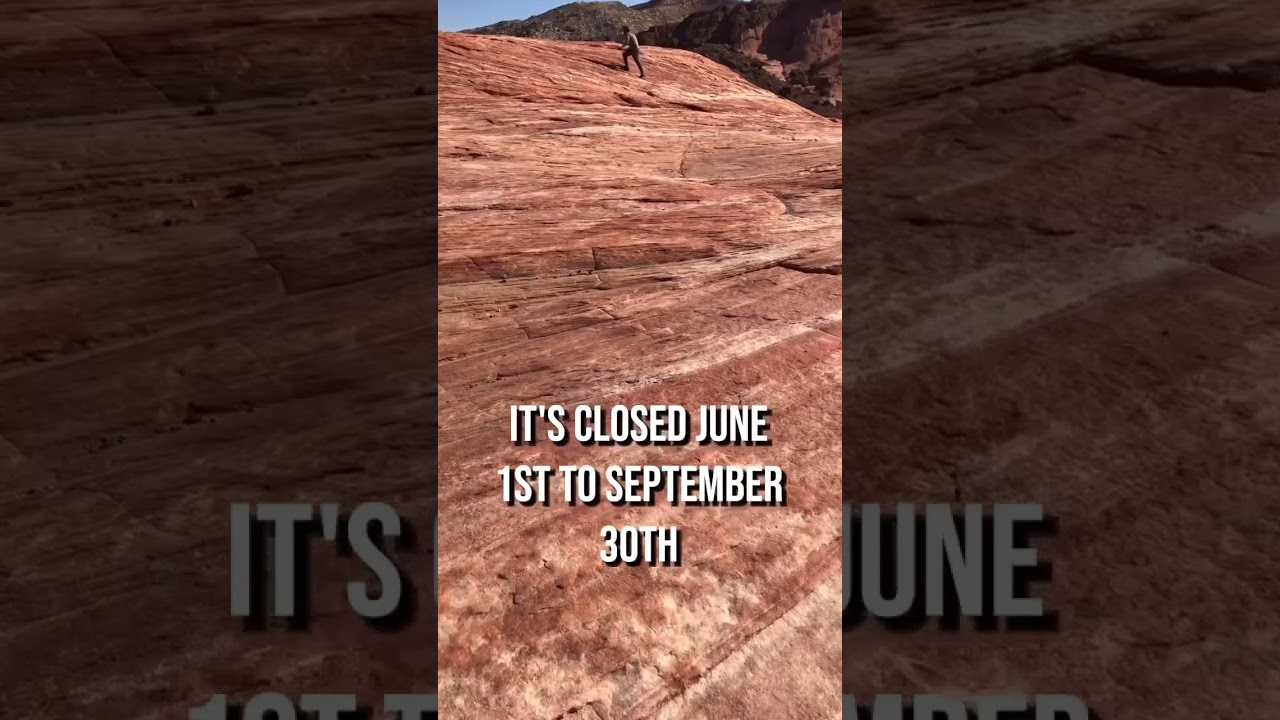 Hike the FIRE WAVE -  close to Las Vegas!😀 #travelnevada #valleyoffire #epic #hiking #Nevada