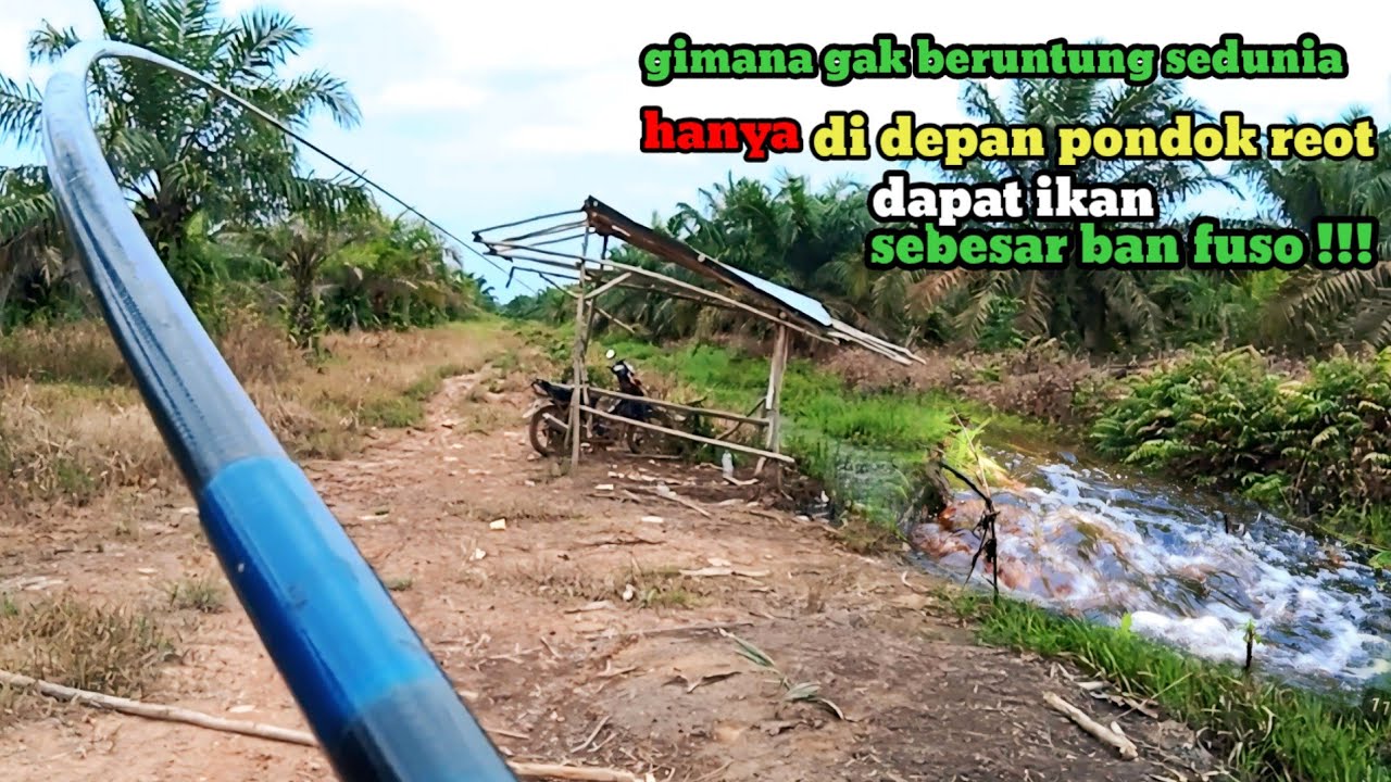Pemancing paling beruntung sedunia..didepan pondok reot dapat ikan monster