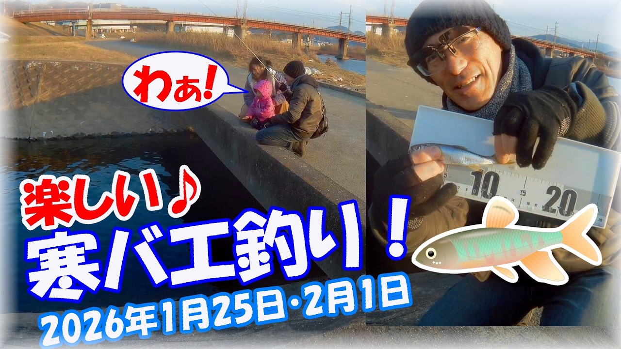 【大阪・冬の大和川寒バエ・オイカワ釣り】ヤバい！2月に入るとオイカワシーズン終了か？親子連れと楽しくオイカワ釣り♪3歳の子は将来釣り師の素質有り！？マルキューの九ちゃん・柏原市緑の水門ポイントが最終
