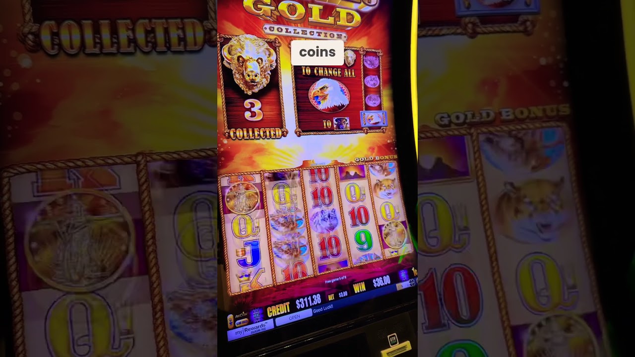 BONUS ROUND On Buffalo Gold Collection