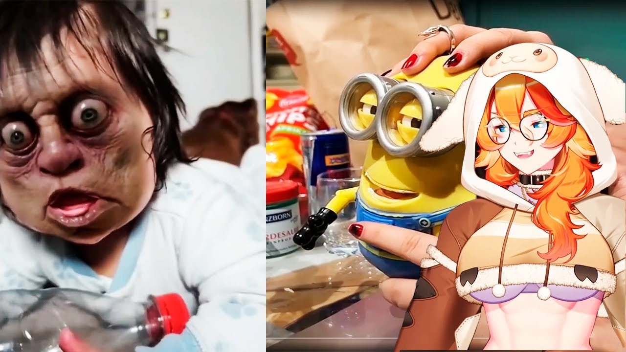 BuffPup Vtuber Reacts To Memes | Daily Dose Of Internet