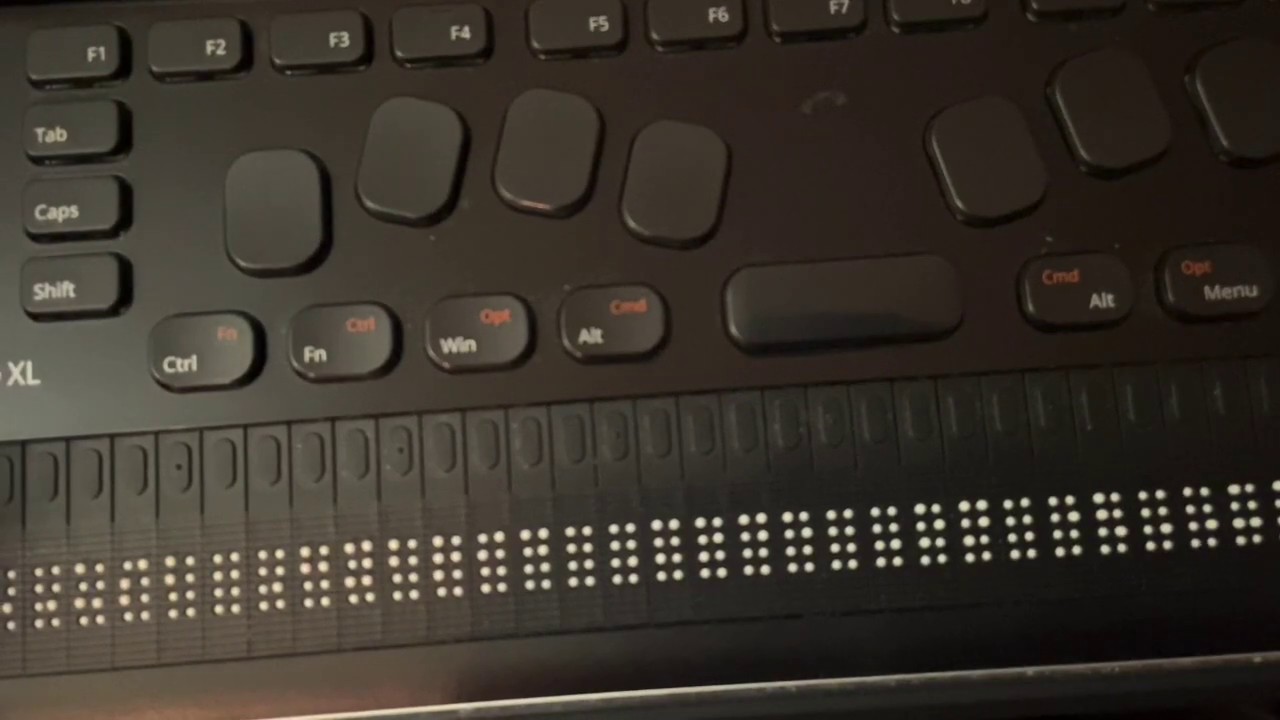 Q Braille XL Review
