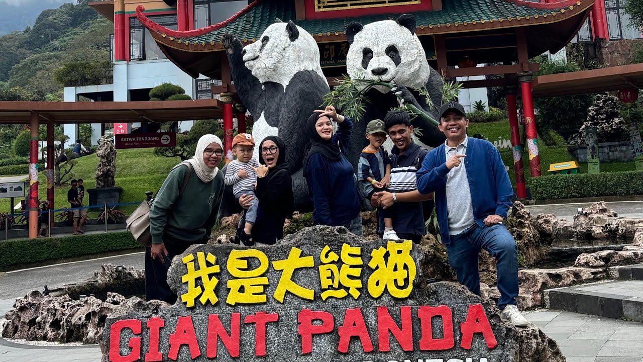 Panda & Burung 