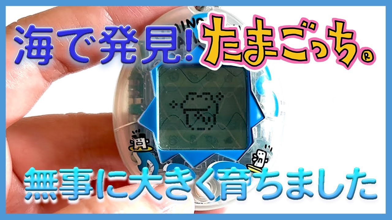 【たまごっち育成動画】海で発見‼︎たまごっち…このままでは終われなかった。