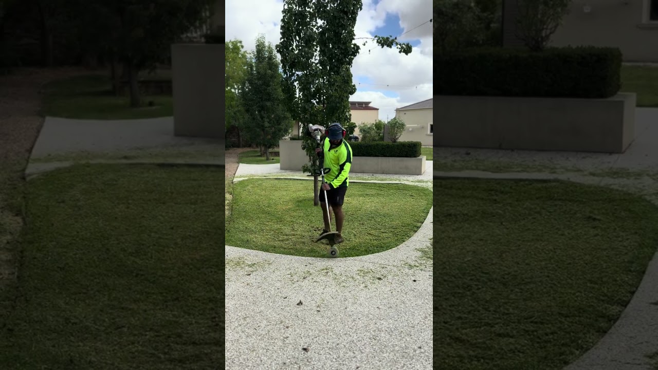 Backyard mowing 🍃🍃#satisfying #viral #viralvideo #love 