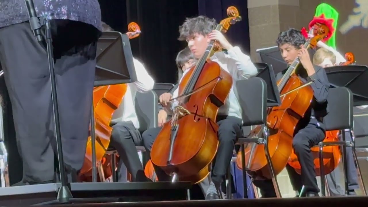 Orchestra 2025(3)