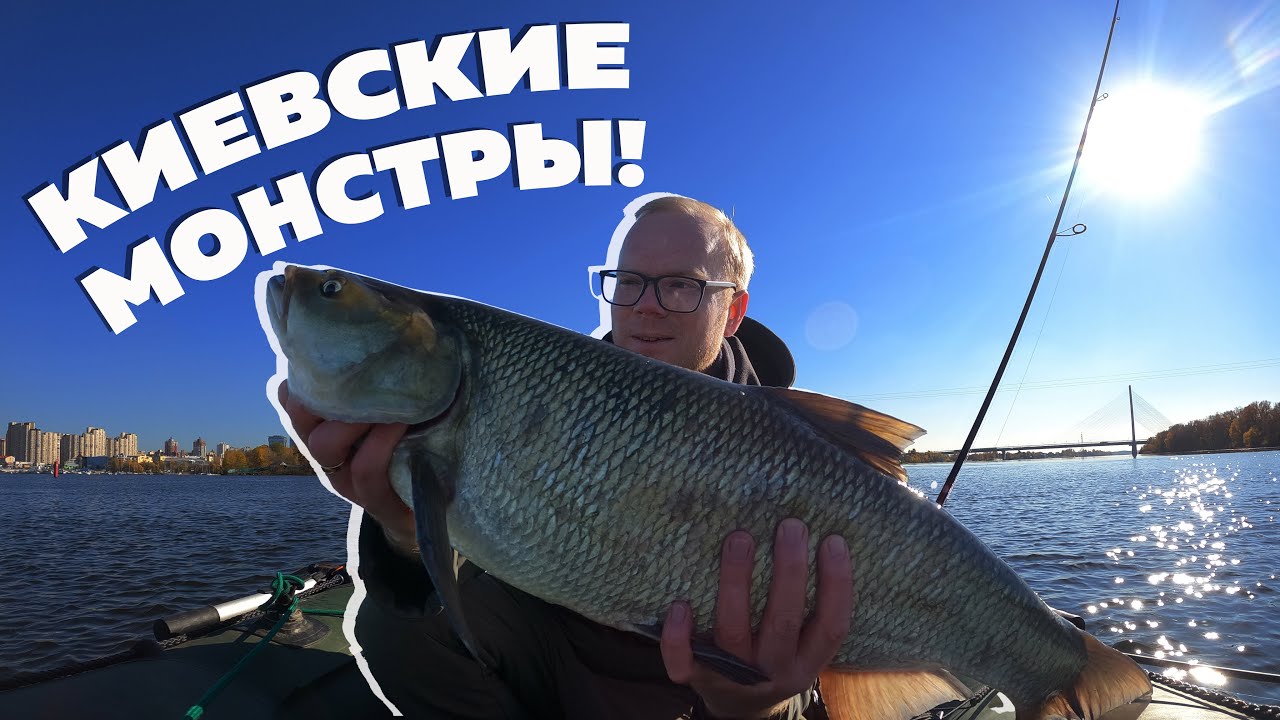 Попал на монстров! Крупный жерех в черте Киева