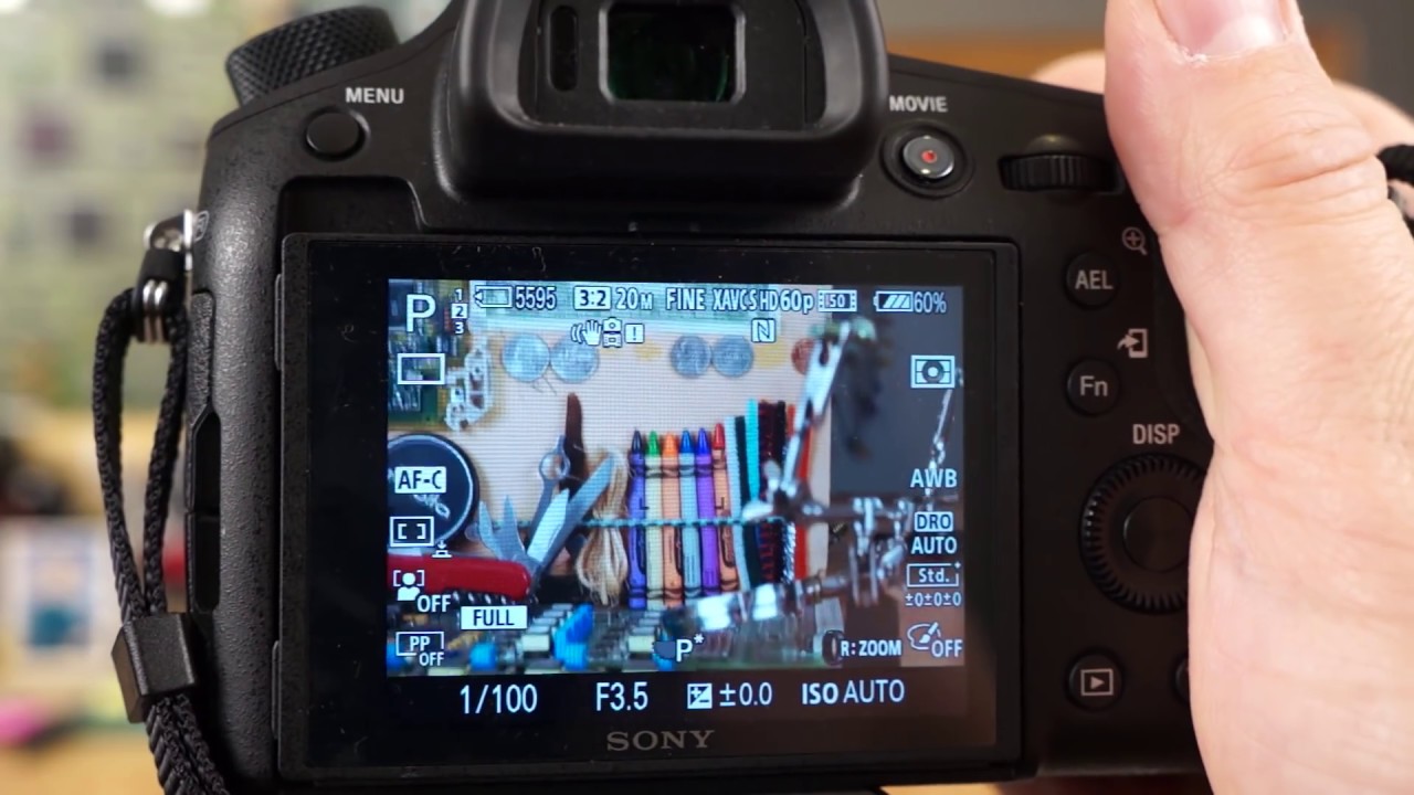 Sony RX10 IV - More Focus Settings - Pre-AF, Eye-AF, Back Button Focus, and More...