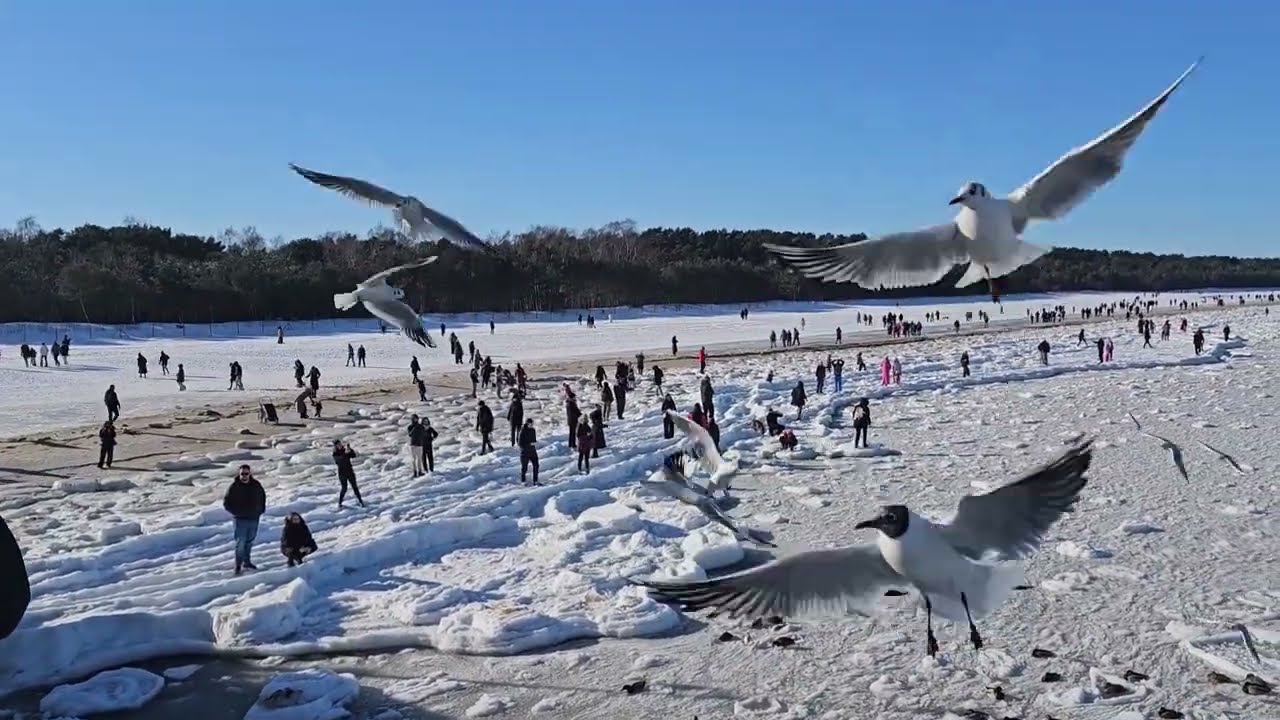 БАЛТИЙСКОЕ МОРЕ ЗАМЕРЗЛО. ПАРК КАК ИЗ ФИЛЬМА ?! ГДАНЬСК. Я НЕ ПОВЕРИЛА СВОИМ ГЛАЗАМ