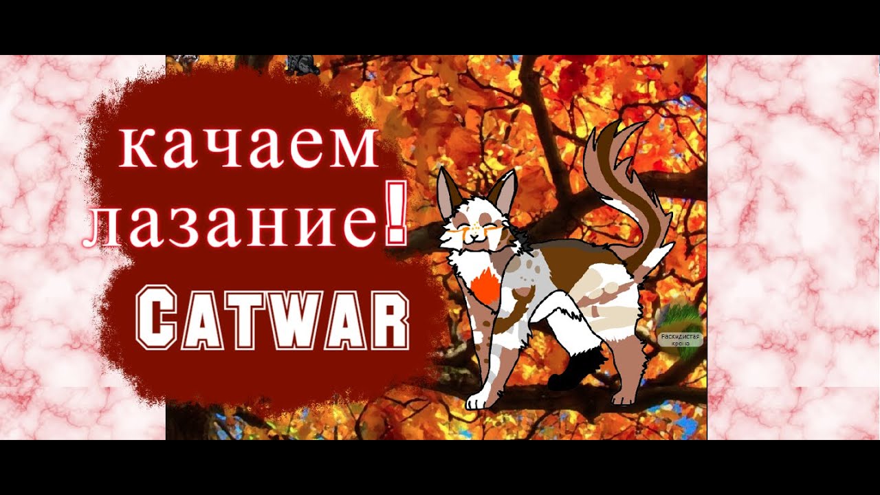 6 лун!/Можно лазать?/Охотимся!/CatWar