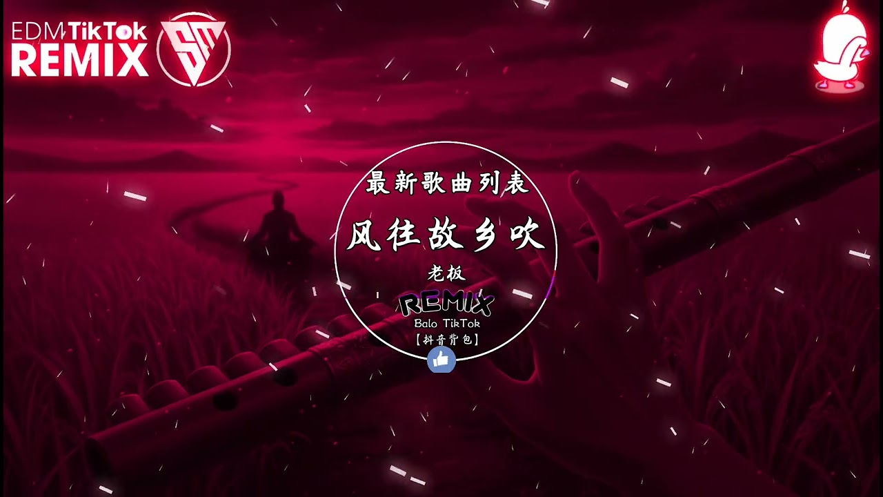 老板 - 风往故乡吹 (抖音DJ版) Gió Thổi Về Quê Hương (Remix)『当初一个人，漂去一座城，背在身上的行囊』抖音最火的歌曲｜Trending TikTok