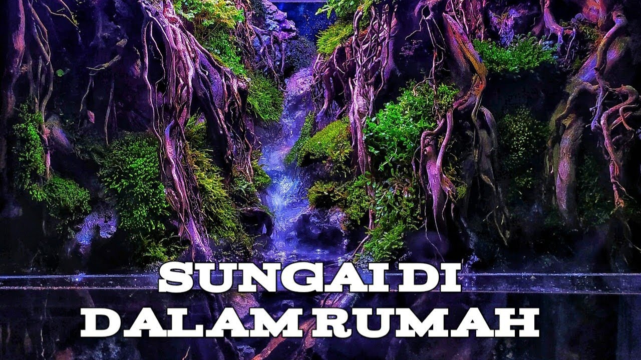#25 PALUDARIUM RIVER STREAM| Sungai Tangisan Anak Kecil | AAD AQUATIC DESIGN