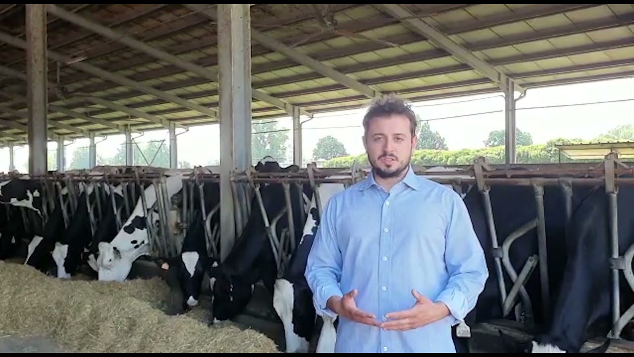 Paolo Faverzani- Presidente Anga Giovani di Confagricoltura Cremona, allevatore