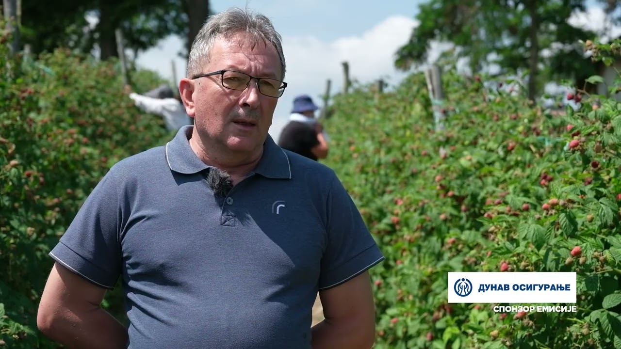 Složno, uspešno! ep. 170 20.06.2023. Poljoprivredno gazdinstvo Radosavljevića, Sagonjevo, maline