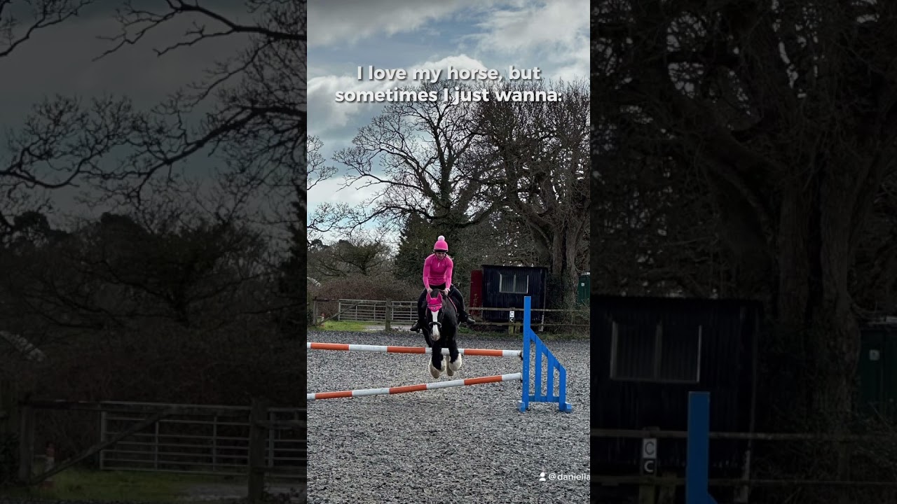 #horselover #equine #horse #horsemanship #equestrian #horseriding #horsefan #pony #cob #horsepower