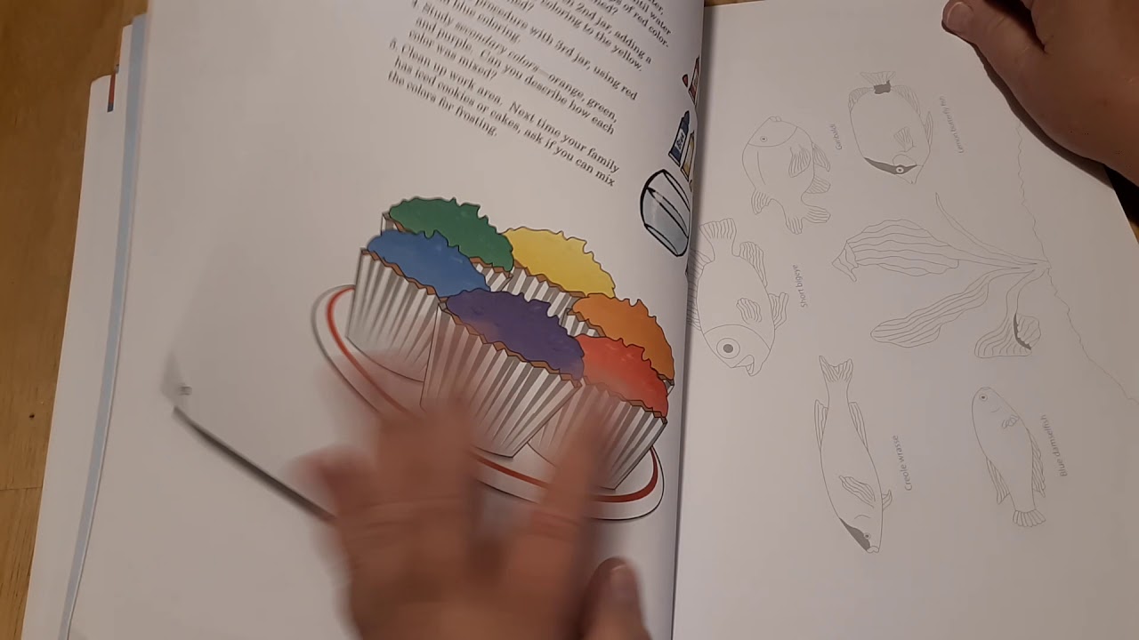 A Beka Book Art Series: Art A (3rd ed.) Review