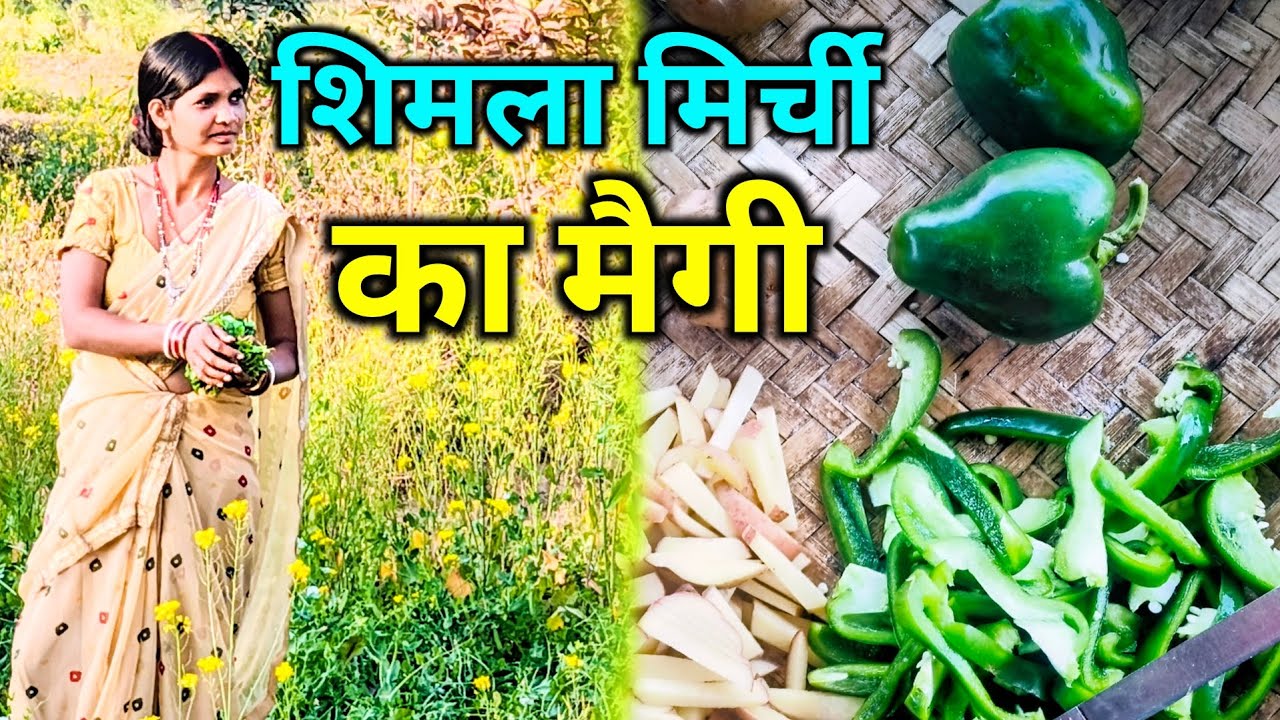 शिमला मिर्ची का मैगी ! Village Vlog ! Village Lifestyle Vlog ! Family Vlog ! Daily Life Style Vlog !