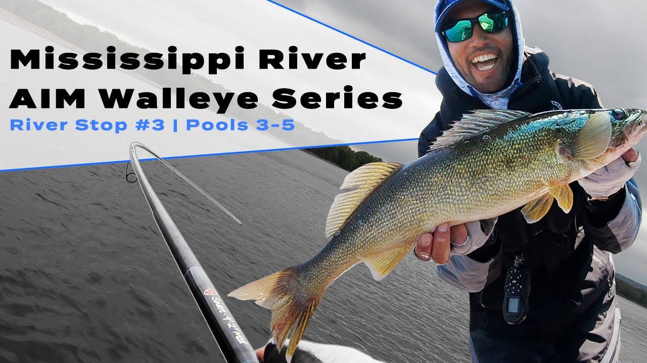 Mississippi Wingdam Walleye! Stop #3