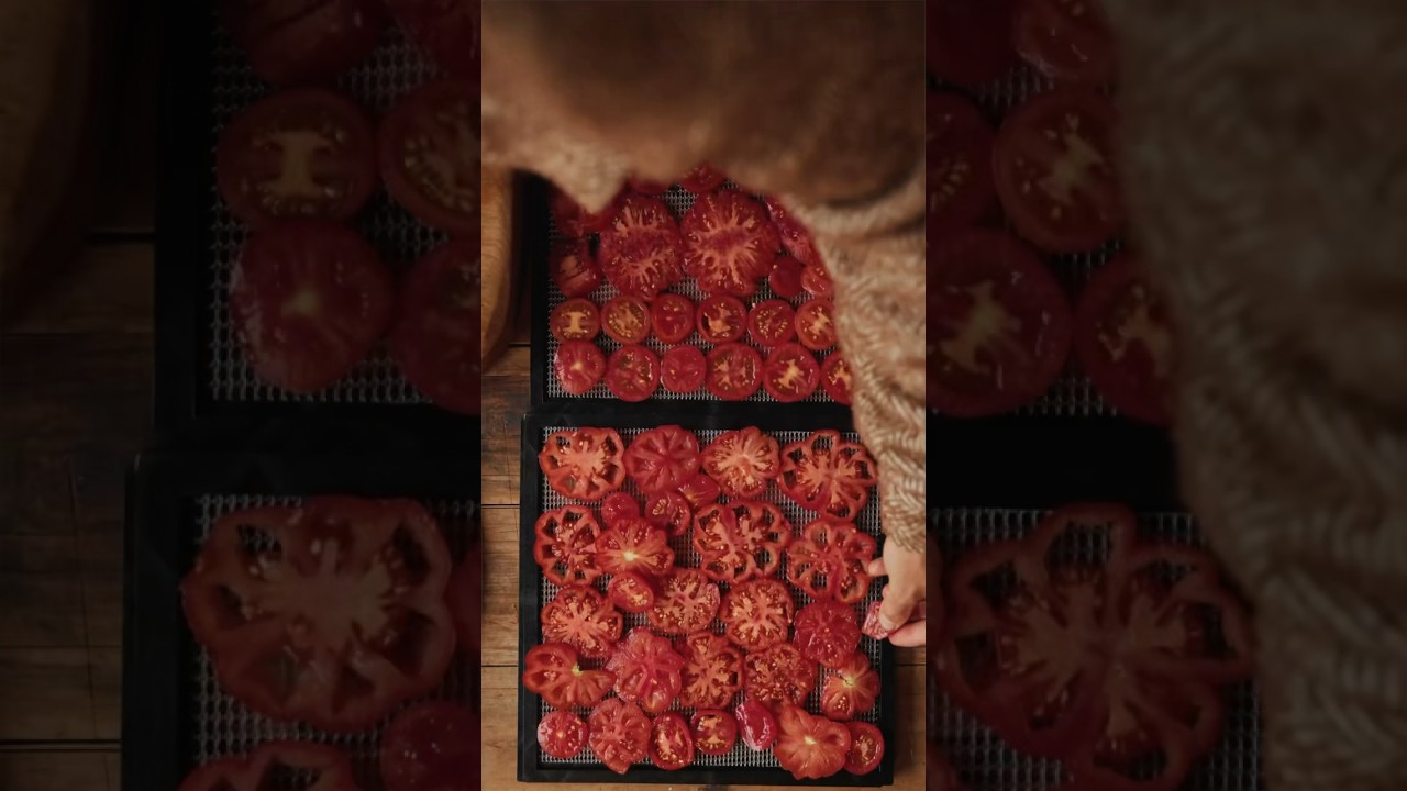 Tomatoes That Taste Like Mango 🤯🍅 