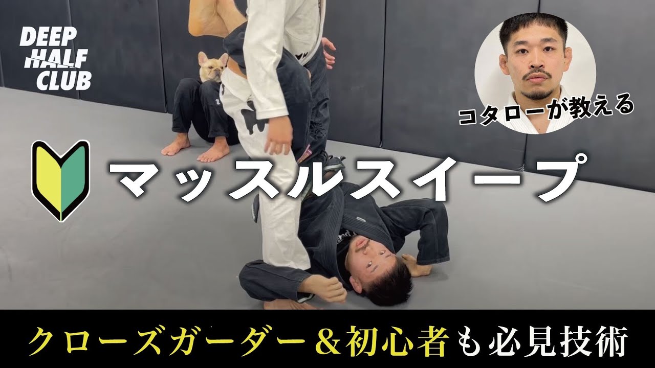 コタローが教える！『マッスルスイープシステム』