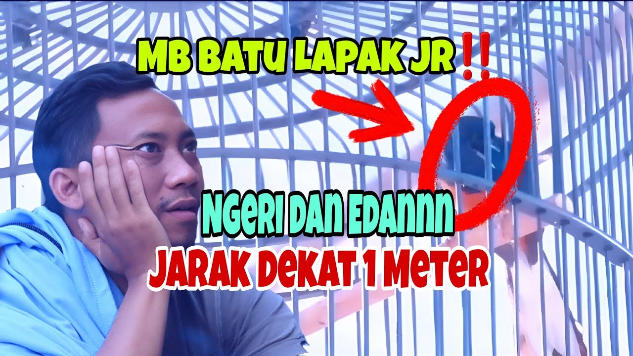 MB Batu Lapak‼️ Ngeri dan Edan, Jarak Dekat 1 Meter Keluar isianya Semakin Edan