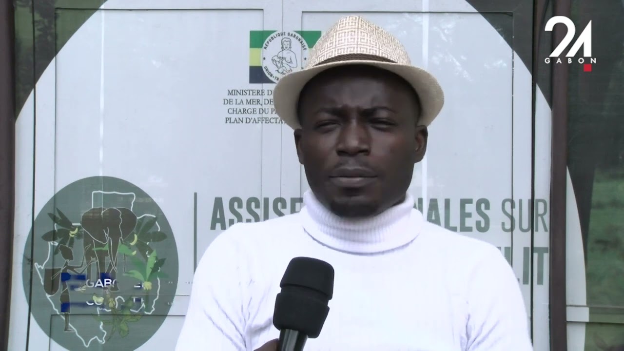 GABON ENVIRONNEMENT   QUID DU MINISTÈRE DES EAUX ET FORÊTS ET DU CONFLIT HOMME FAUNE