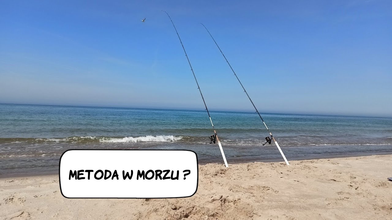 Morskie opowieści, czyli feeder w Bałtyku