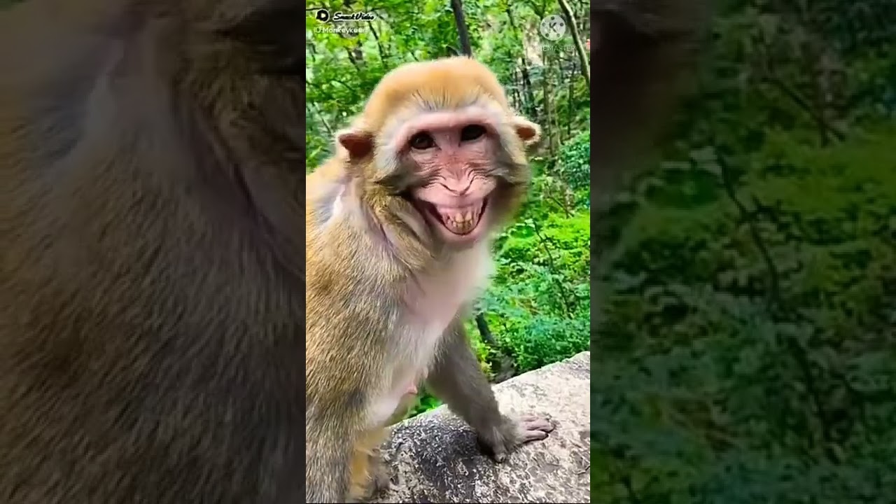 Mere Sapno Ki Rani Kab Aaegi tu 