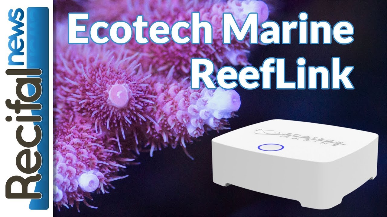 Ecotech Marine : d&eacute;couverte du Reeflink