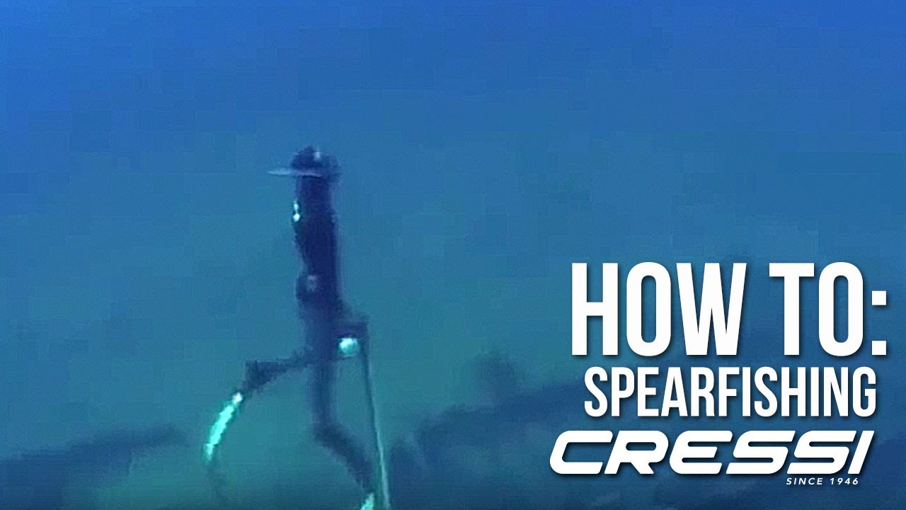 How To Spearfishing