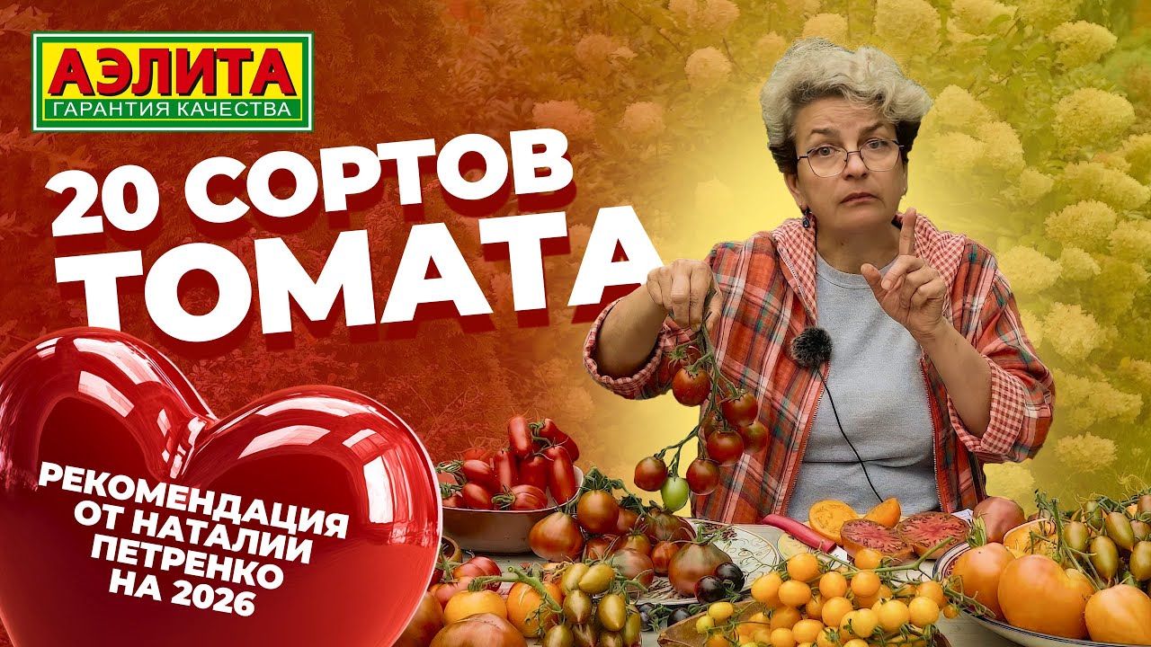 20 сортов и гибридов томата на 2026 год! Обзор урожая от Наталии Петренко!