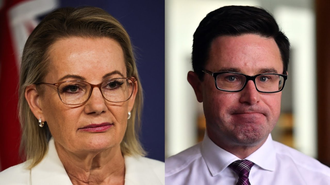 ‘It’s alarm bells time’: Littleproud’s ‘hoping the Liberals roll Sussan Ley’